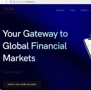 VGM Velos Global Markets unauthorized