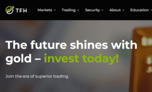 Topfin Holding topfinhold.com clone